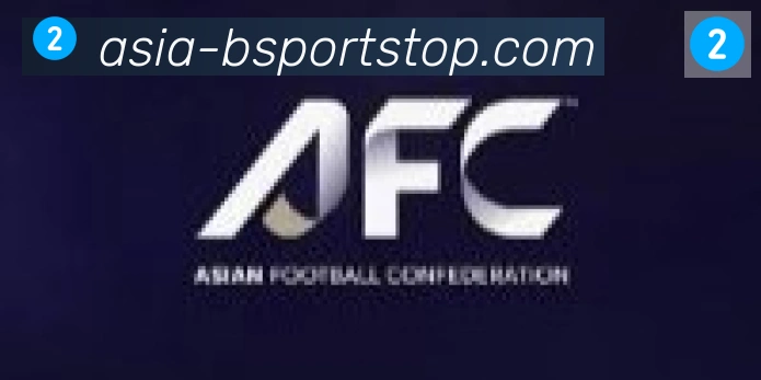 Bsports官网合作伙伴